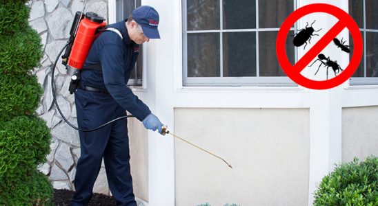 Şalpazarı Böcek İlaçlama böcek ilaçlama ve haşere kontrolü — ilaclama-tr.com